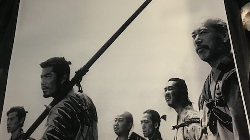 立体绿化模块：如何选择合适的解决方案**