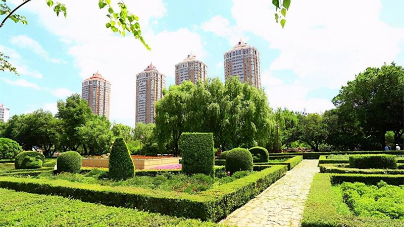 垂直绿化植物选择与搭配：打造城市绿墙的秘诀**