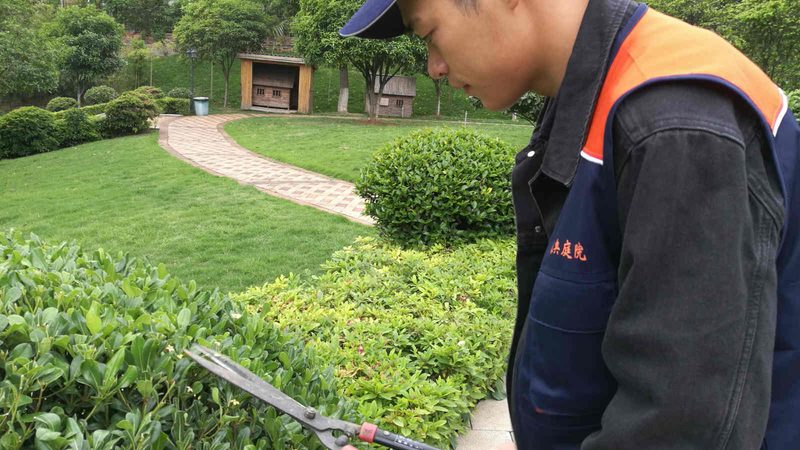 露台鱼池，如何合理估算设计安装费用？**
