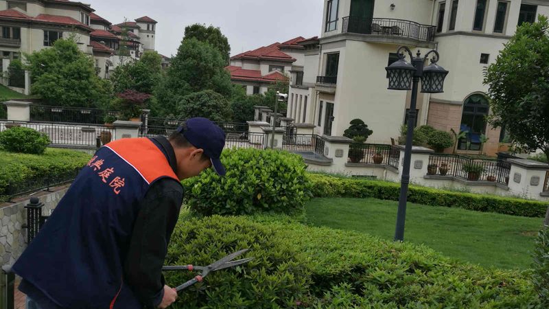 市政绿化苗木供应商排名，揭秘优质供应商的四大标准