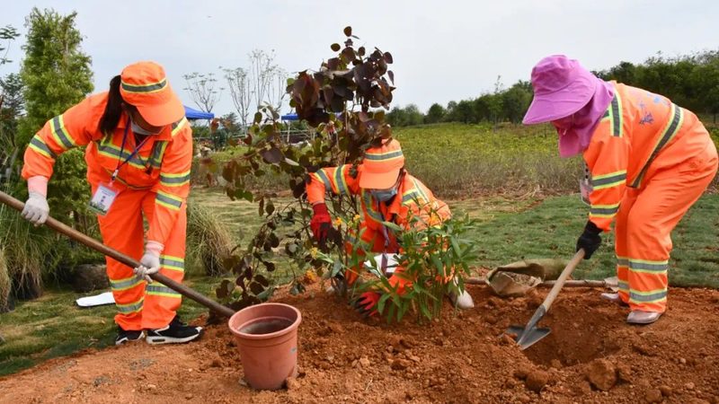 树池尺寸如何确定？施工步骤详解**