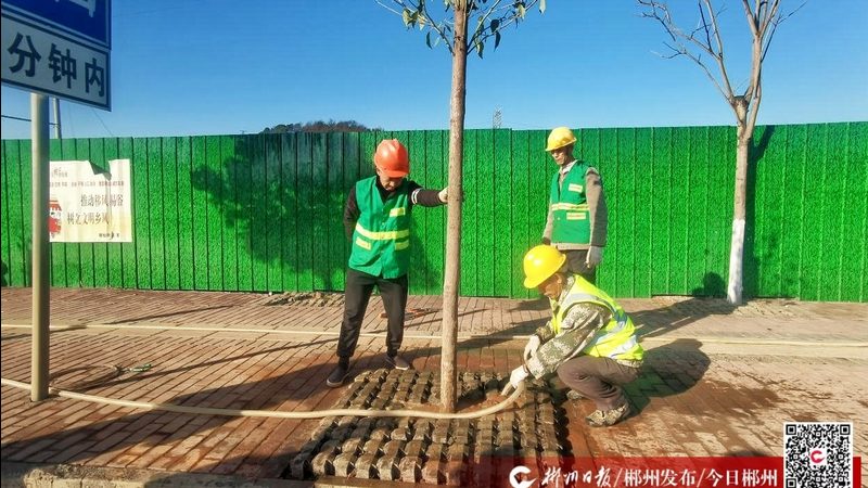 立体绿化工程承包报价：揭秘成本构成与优化策略**
