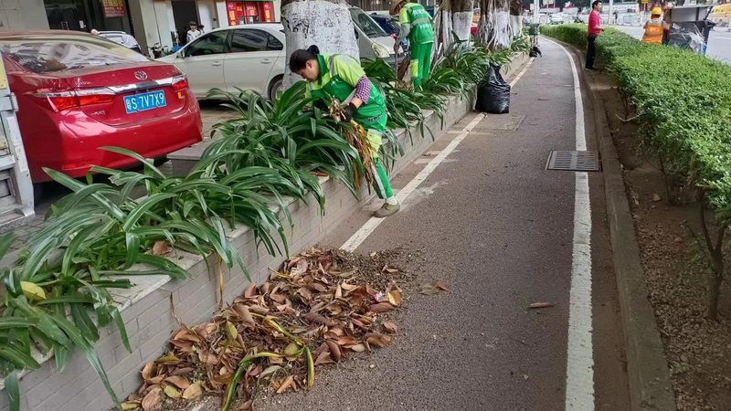 垂直绿化墙，如何选择合适的尺寸规格？**