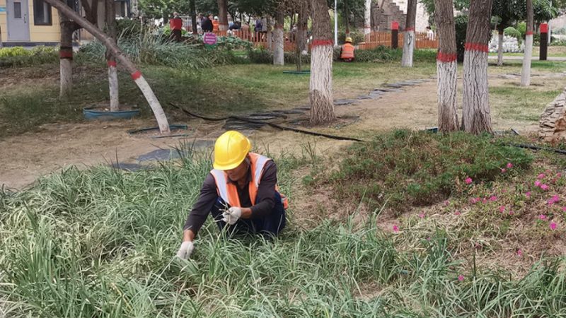 商业庭院无障碍设计：打造宜居空间的必要考量**