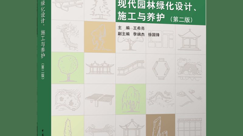 办公室观叶植物租摆，流程解析与要点梳理**