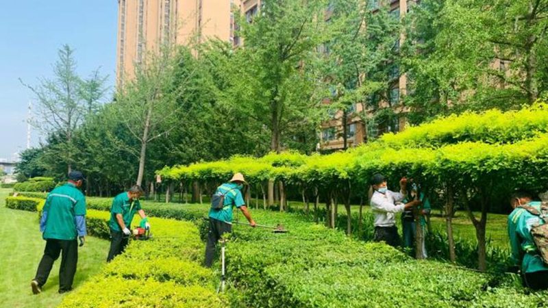 园林工程报价清单，如何编制才能更合理？**